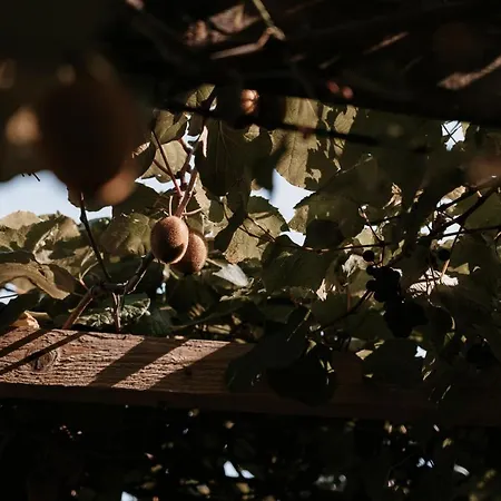 Stupperhof 3* Kitzeck im Sausal