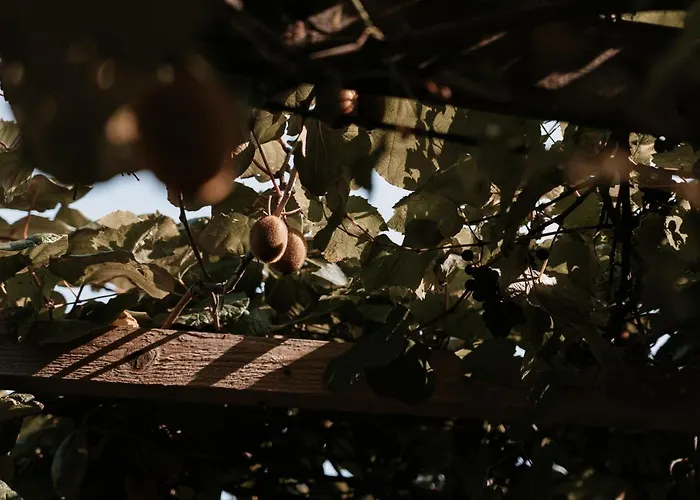 Stupperhof 3* Китцекк-им-Заузаль